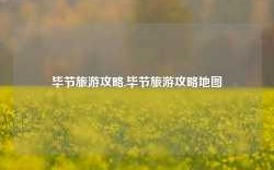 毕节旅游攻略,毕节旅游攻略地图