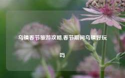 乌镇春节旅游攻略,春节期间乌镇好玩吗