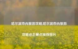 哈尔滨市内旅游攻略,哈尔滨市内旅游攻略必去景点推荐图片