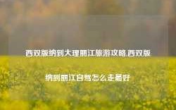 西双版纳到大理丽江旅游攻略,西双版纳到丽江自驾怎么走最好