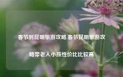 春节到昆明旅游攻略,春节昆明旅游攻略带老人小孩性价比比较高