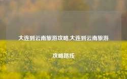 大连到云南旅游攻略,大连到云南旅游攻略路线