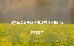 深圳自由行旅游攻略,深圳有哪些好玩的自驾游