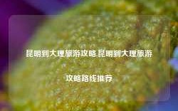 昆明到大理旅游攻略,昆明到大理旅游攻略路线推荐