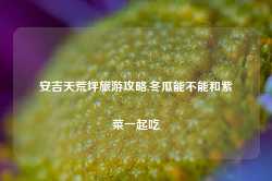 安吉天荒坪旅游攻略,冬瓜能不能和紫菜一起吃-第1张图片-