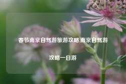 春节南京自驾游旅游攻略,南京自驾游攻略一日游-第1张图片-