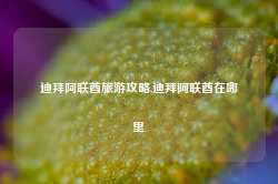 迪拜阿联酋旅游攻略,迪拜阿联酋在哪里-第1张图片-