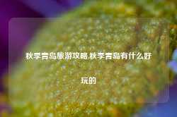 秋季青岛旅游攻略,秋季青岛有什么好玩的-第1张图片-