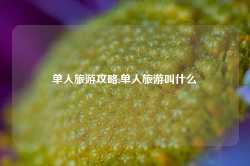 单人旅游攻略,单人旅游叫什么-第1张图片-