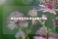 黄花溪旅游攻略,黄花溪景区介绍-第1张图片-