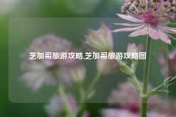 芝加哥旅游攻略,芝加哥旅游攻略图-第1张图片-