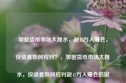 加密货币市场大跳水，超42万人爆仓，投资者如何应对？，加密货币市场大跳水，投资者如何应对超42万人爆仓的困境？-第1张图片-旅游攻略网