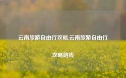 云南旅游自由行攻略,云南旅游自由行攻略路线