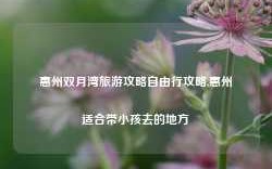 惠州双月湾旅游攻略自由行攻略,惠州适合带小孩去的地方