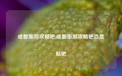 成都旅游攻略吧,成都旅游攻略吧百度贴吧