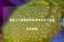 老年人三亚旅游攻略,老年人去三亚适合去哪里-第1张图片-