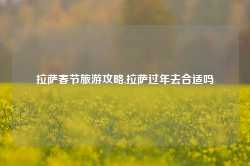 拉萨春节旅游攻略,拉萨过年去合适吗-第1张图片-